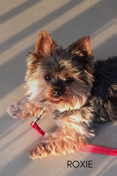 Roxie