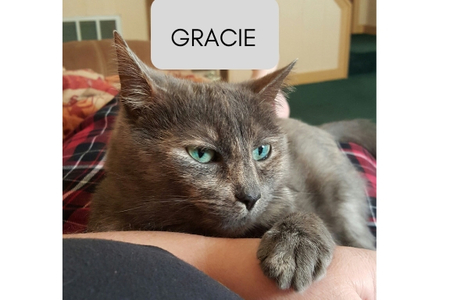 Gracie