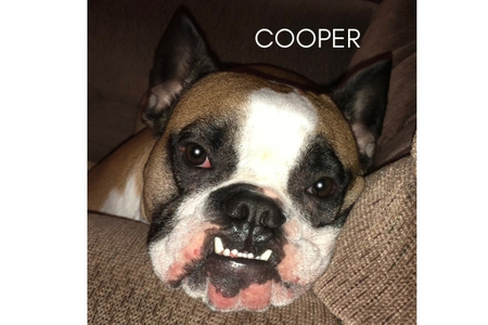 Cooper