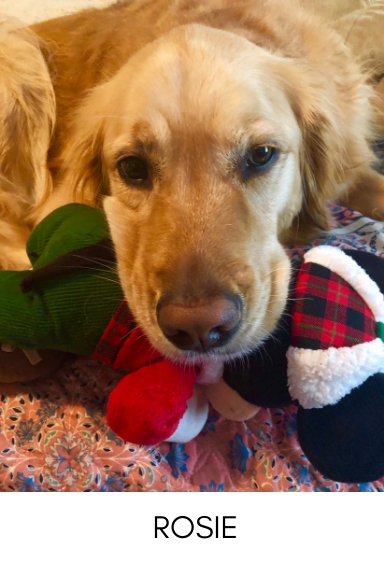 Rosie
