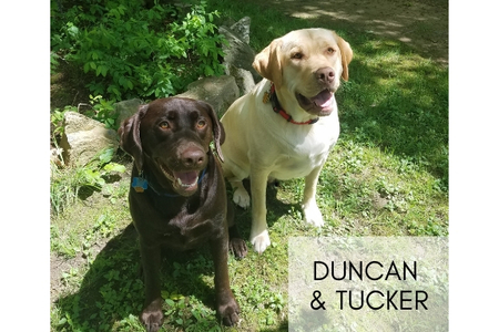 Duncan & Tucker