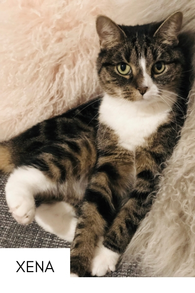 Xena