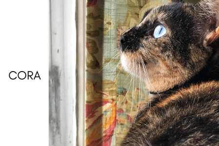 Cora