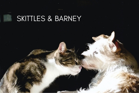Skittles & Barney
