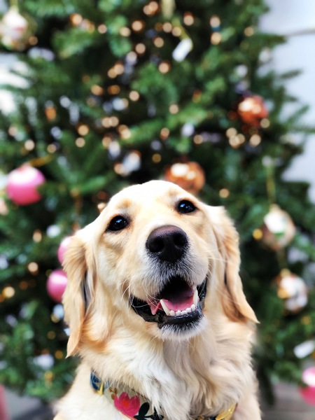 Skye