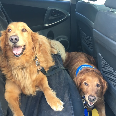 Rex and Wicious 