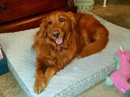 Rowan, Our Darling Girl