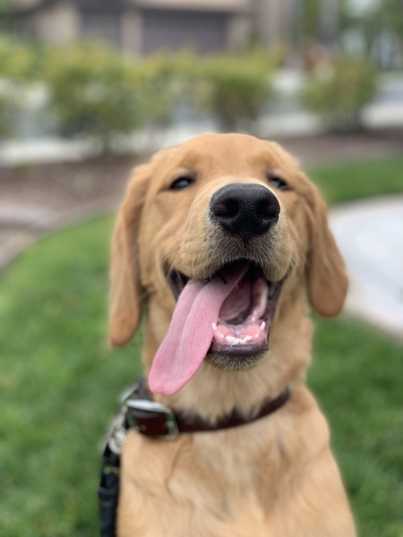Tucker