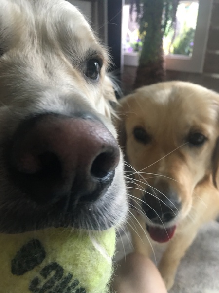 Bo and Cassie Beverly