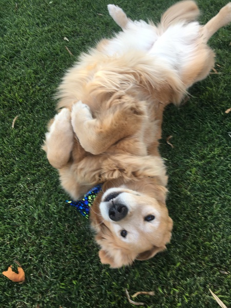 Bonnie