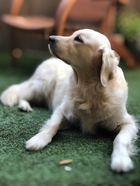 Gracie Dunlap