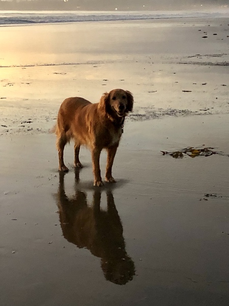 Kaia
