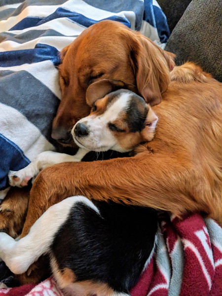 Penny
