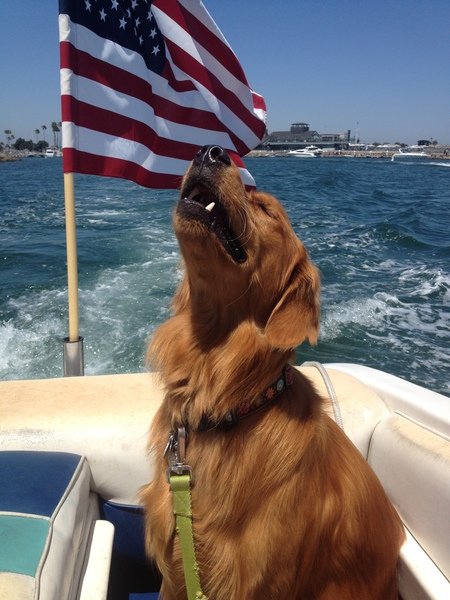 Admiral Bart 