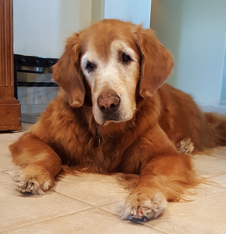 (Sweet) Bailey