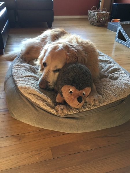 Roscoe