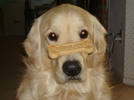 Tucker