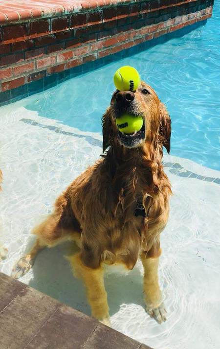Mags (aka: Maggie, Magnolia)