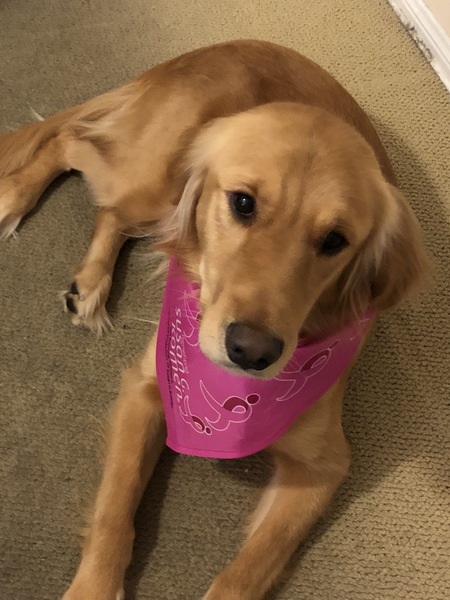 Kona
