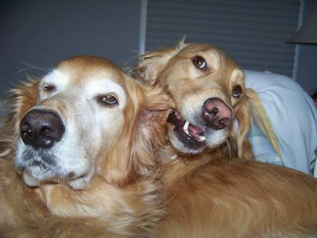 Jake and Callie