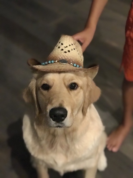 Jack