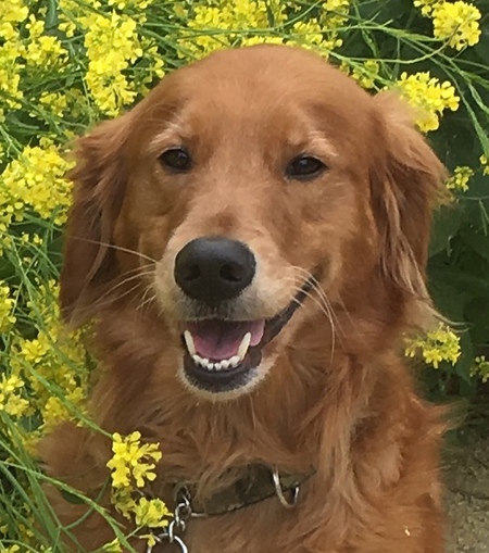 Lennon