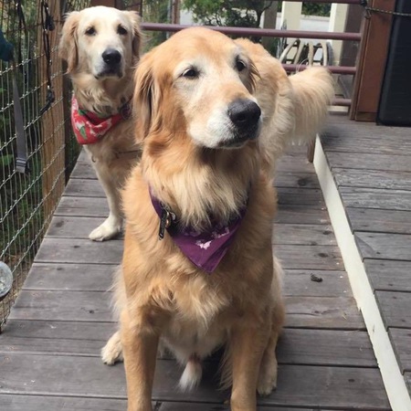 Bella and Lance