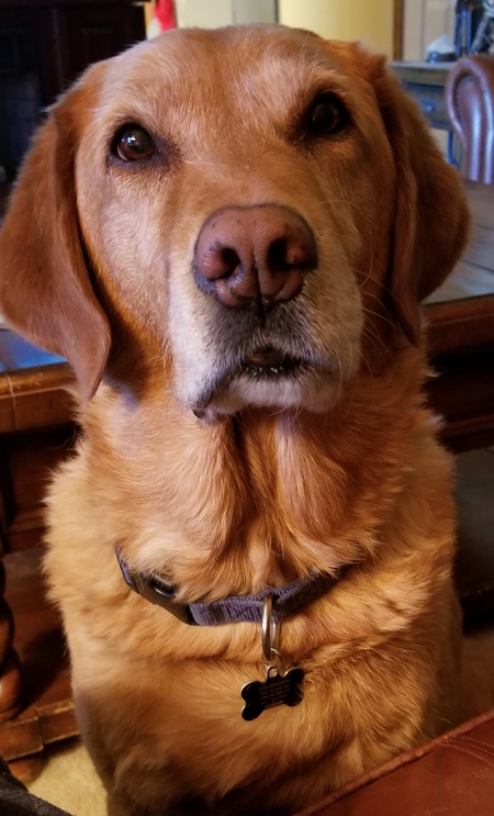 Flynn 