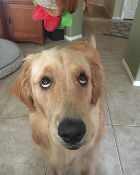Bailey