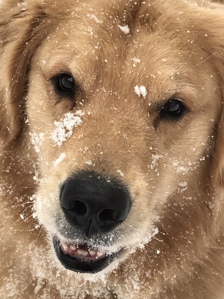Jake