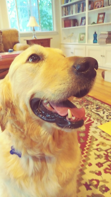 Tucker