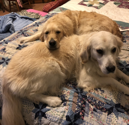 Luna and Ginger