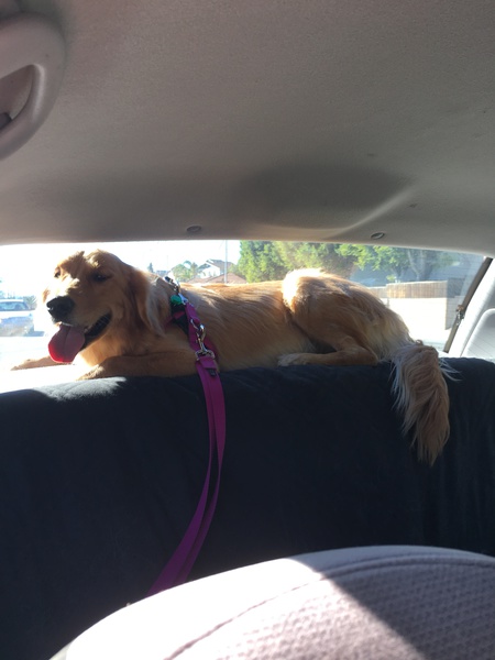 Mattie Rides Again