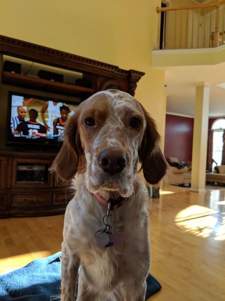 Molly