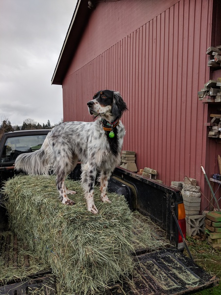 Sierra