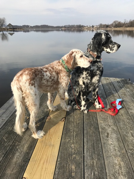 StarJ and Tucker