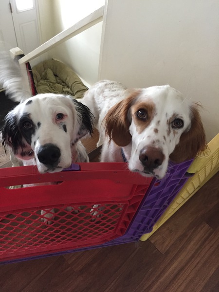 Ernie and Presley