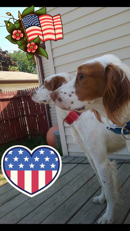 Duke & Rex