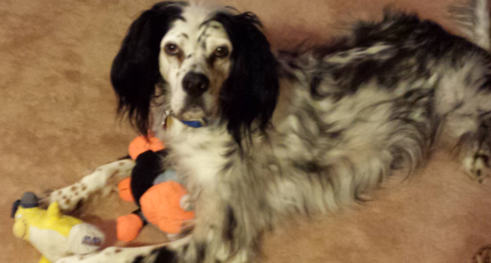 Darby