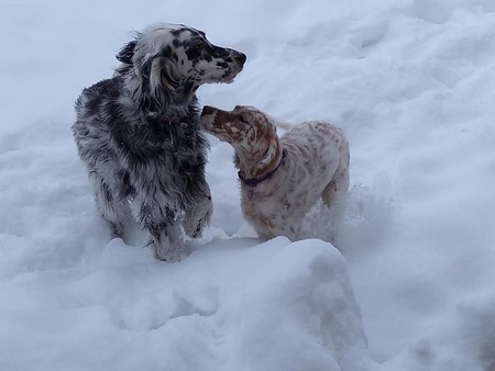 Samantha & Tessa