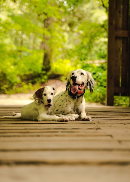Rudy and Norman