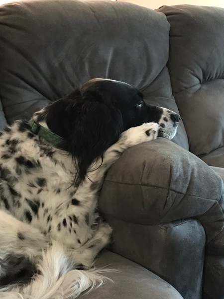 Oliver