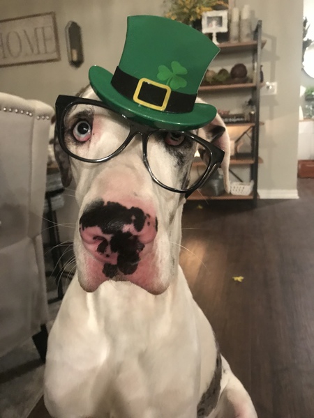 Oakley