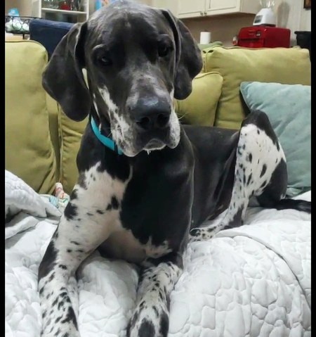 Leroy