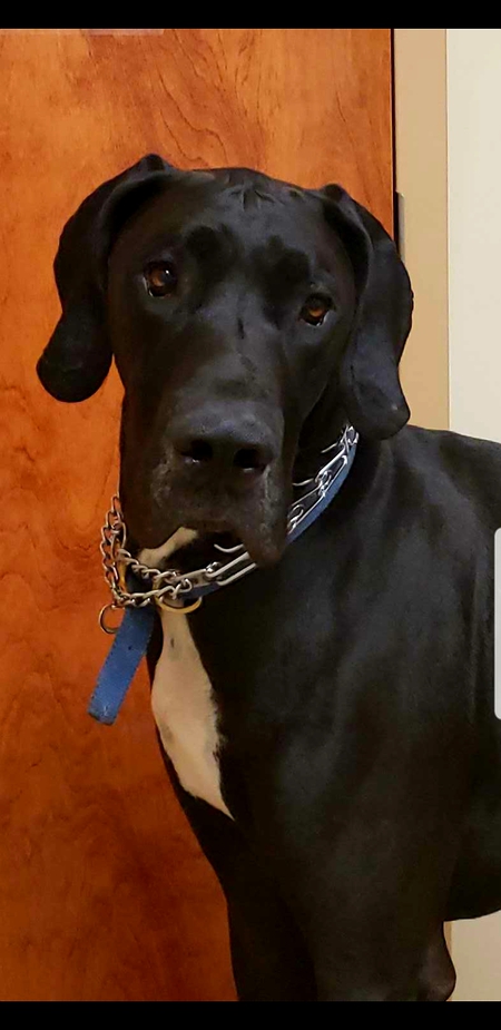 Kane