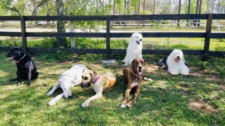 Family Photo 