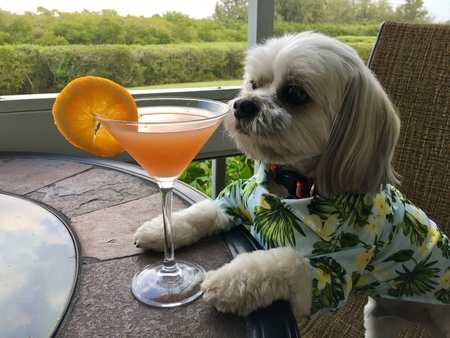 Carson says it’s five o’clock somewhere!