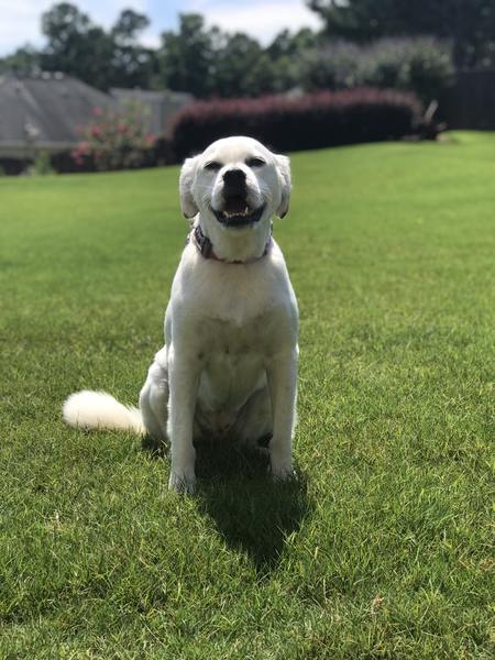 Lily