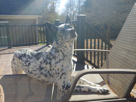 Murphy