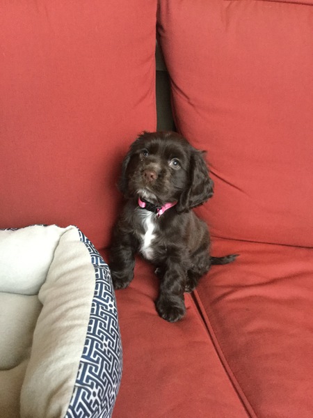 Lucy